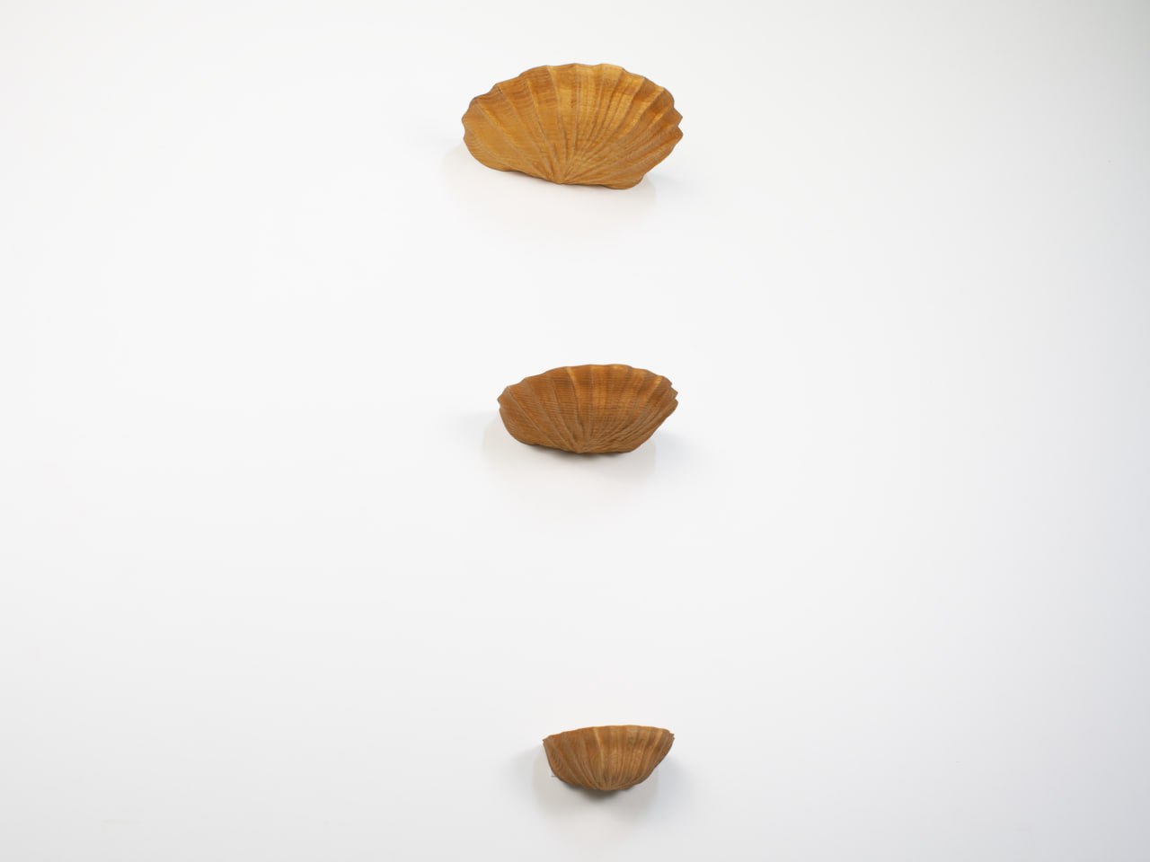 Seashell-Inspired Wooden Shelf