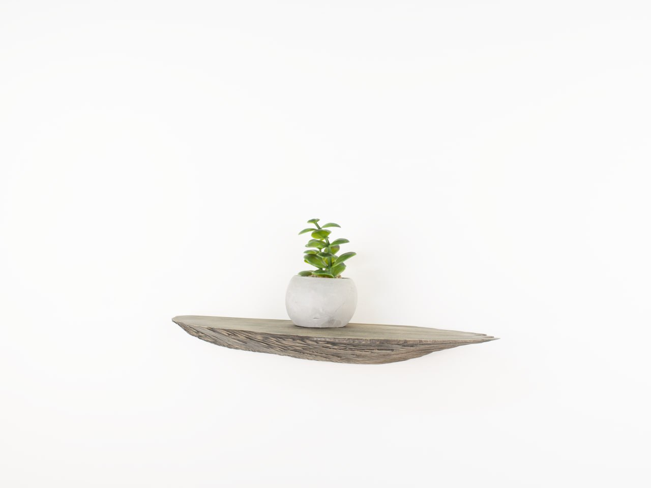 Graceful Angel Wings Wooden Shelf