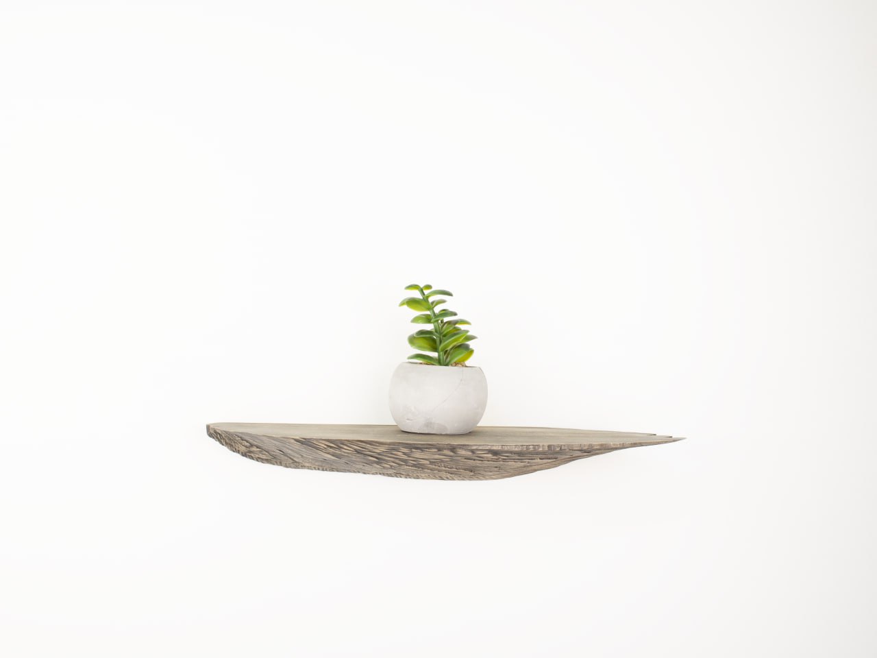 Graceful Angel Wings Wooden Shelf