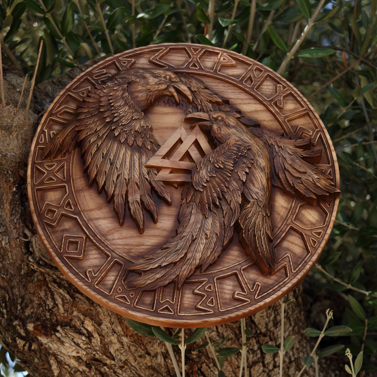 Raven, Wooden viking shield