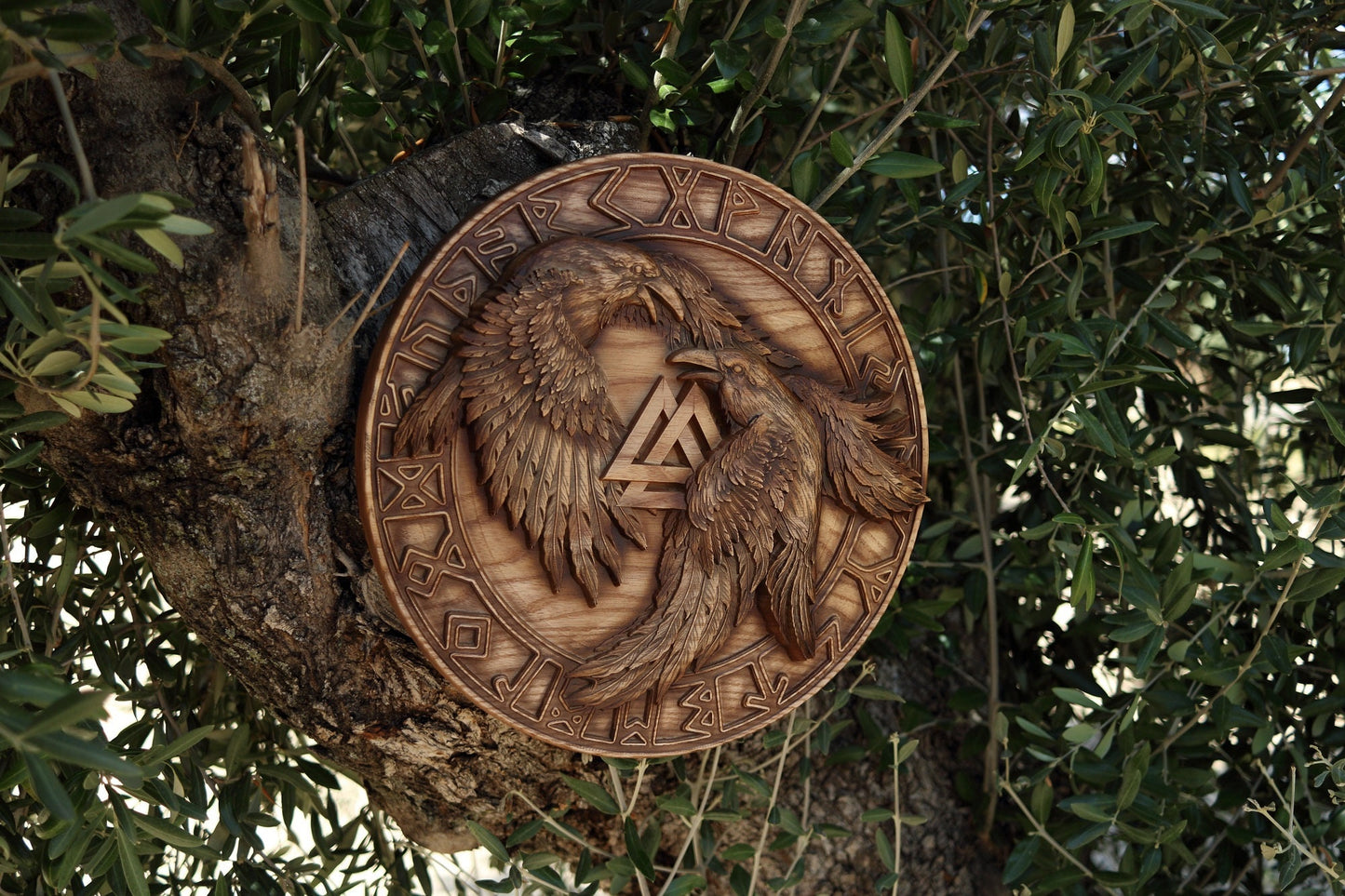 Raven, Wooden viking shield