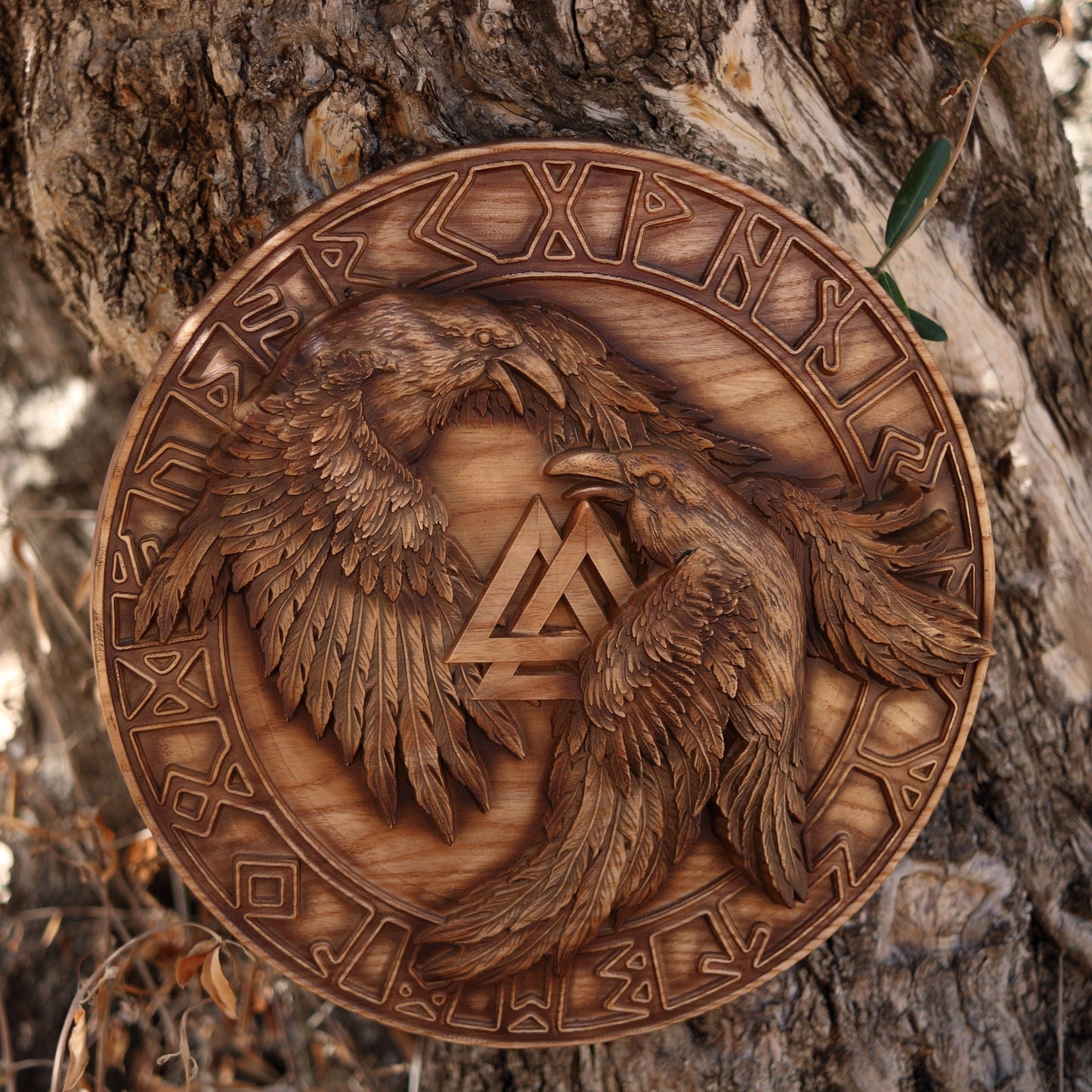 Raven, Wooden viking shield